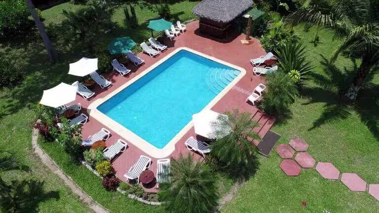 Unforgettable experience 4 day in the Amazon, Delux Lodge for less